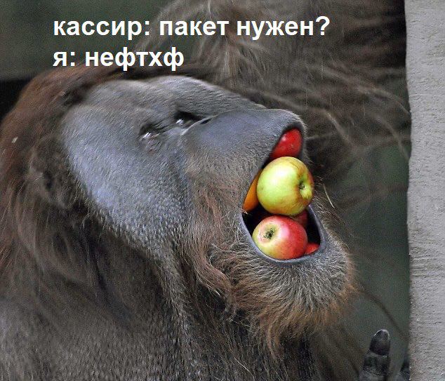 Как дела?