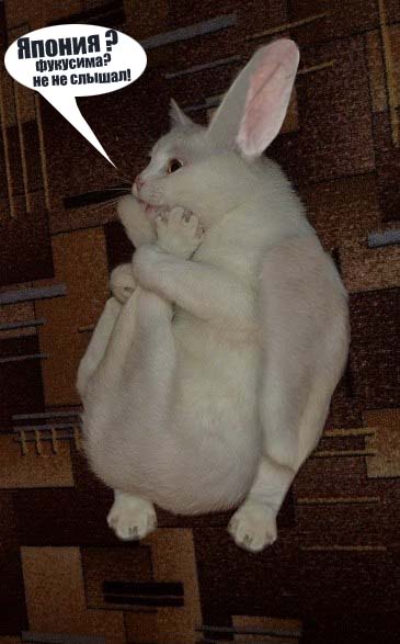 Котэ-креведко
