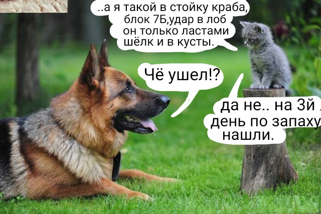 Просто картинки красивые и разные