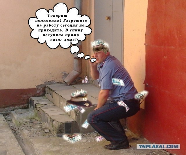 Фотожаба: Неупоротый.