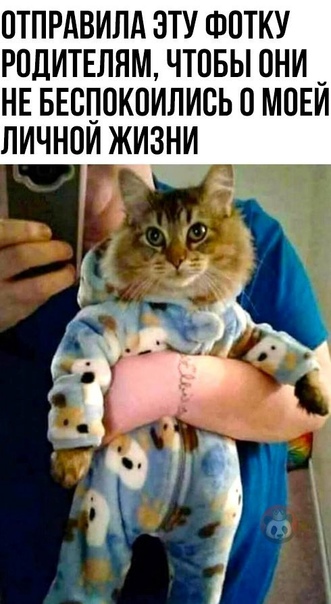 Каптинки и буквы 15.03.21