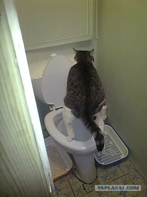 Я пожалуй тут посижу