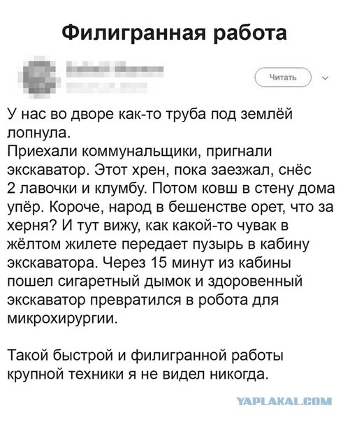 Фотки и картинки: юморные и красивые, забавные и милые 20.04.21