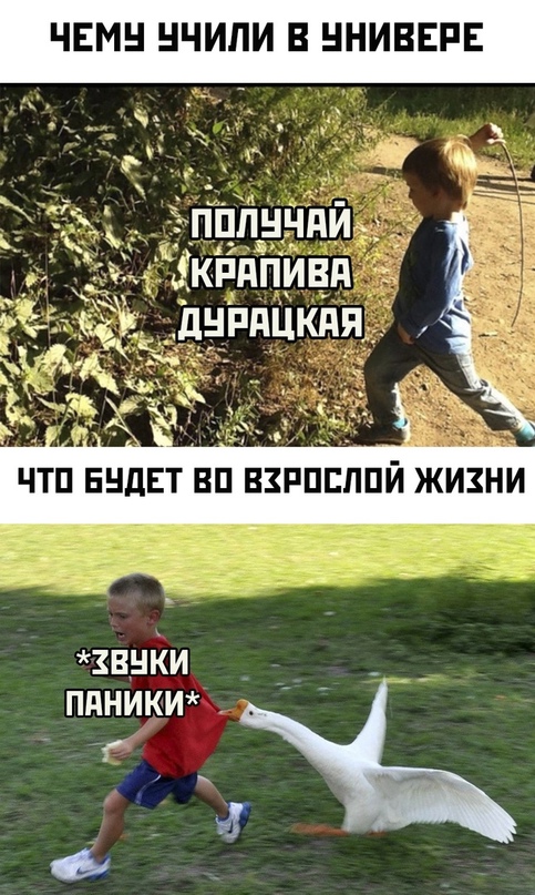 Картинки и мемы для настроения 10.06.2021