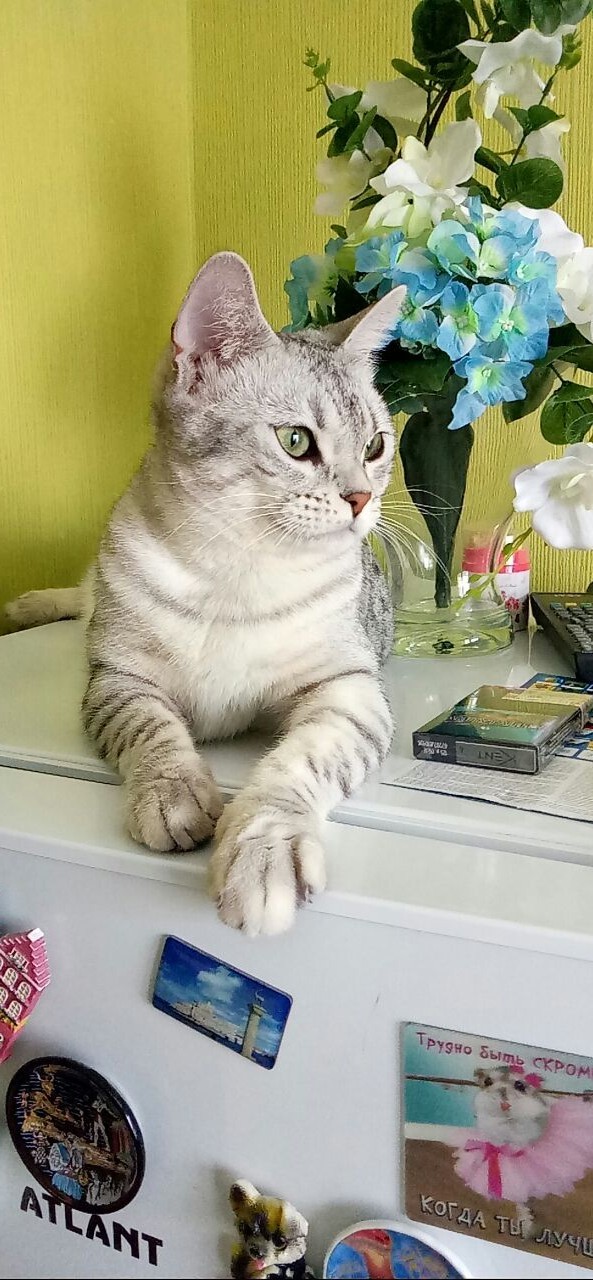 Кто здесь?!