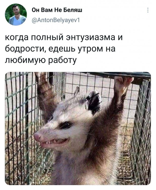 Юмор и прикольные картинки 06.09.2021