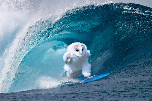 Динамо бежит? Все бегут.