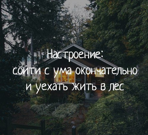 Уютные дома в зимнем лесу