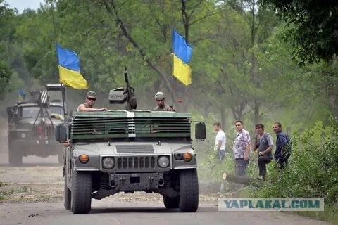Проследили