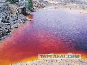 10 инопланетных ландшафтов, которые можно увидеть
