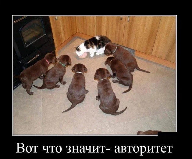 Картинки с надписями 21.07.22