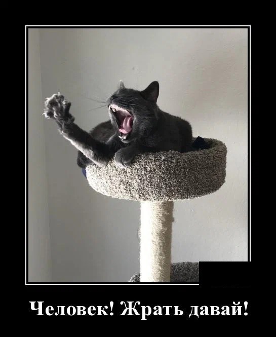 Картинки с надписями 26.07.22