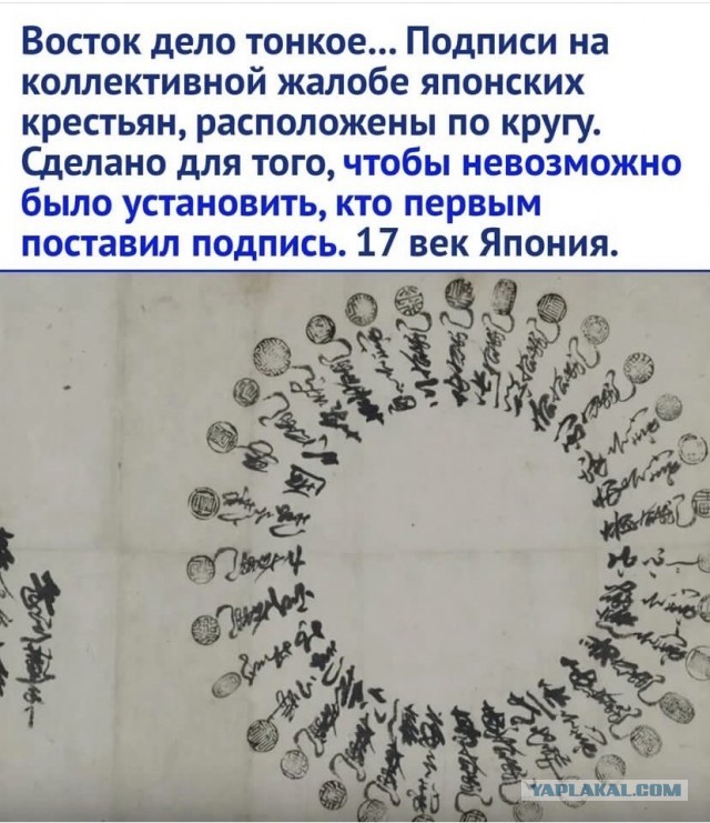 Немного мемчиков. Для взрослых. Часть 14