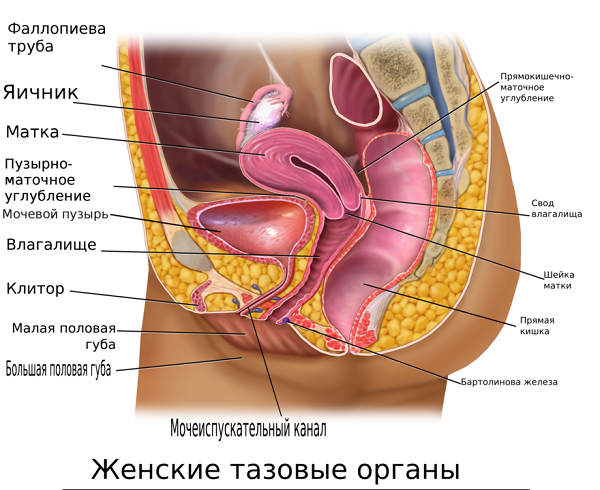 Странная женская натура. Вам для чего это надо?