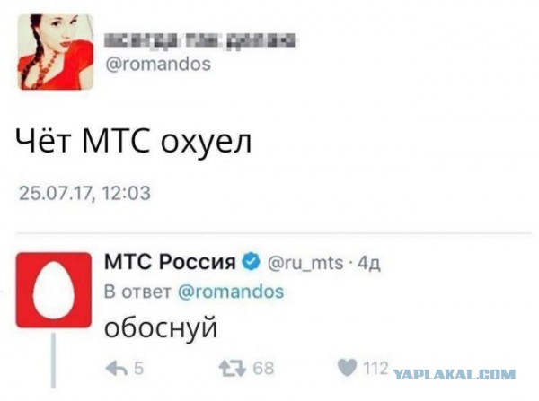 Подборка смешных картинок на ночь 31.10.22