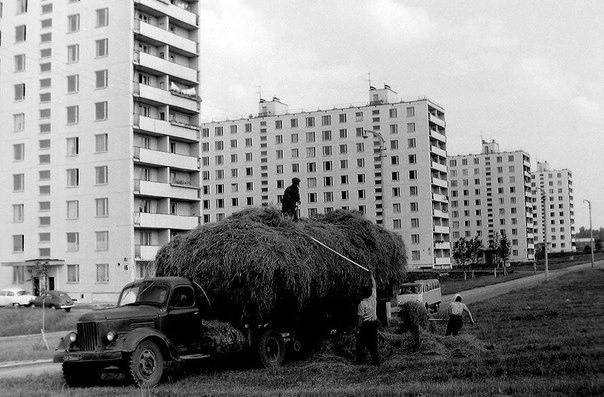Несколько исторических (и не только) фото в хаотичном порядке и разной степепни баяности - 14