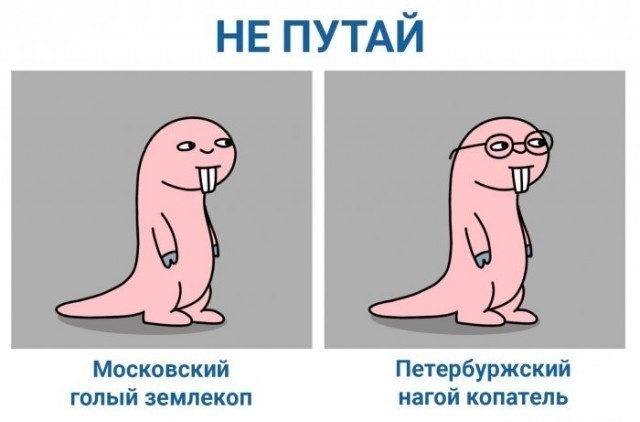 Так себе картинки 30.11.22