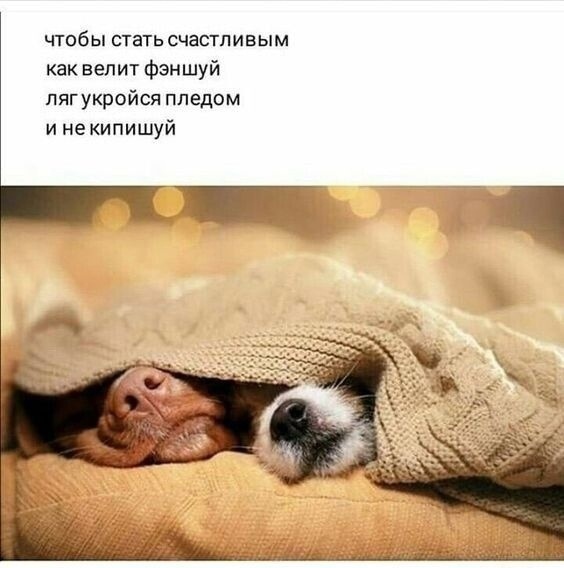 Всё сложно (баяны)