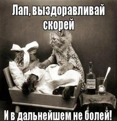 Мужчины, делающие куннилингус, счастливее других. И вот почему!
