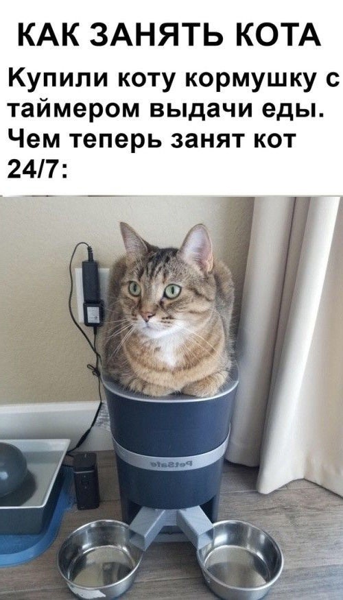 Картинки и мемы, всяко разно - 185