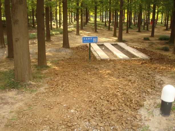 Просто уличный туалет в деревне