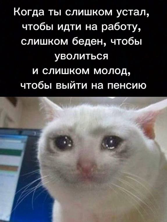 Всего понемногу. От 26.01.24