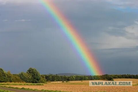 Жительнице Нижнего Новгорода назначили пять суток ареста за ношение сережек в цветах радуги