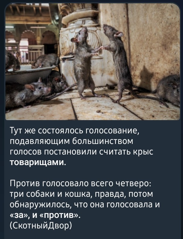ЦИК нашел в подписях Бориса Надеждина 15,348% брака