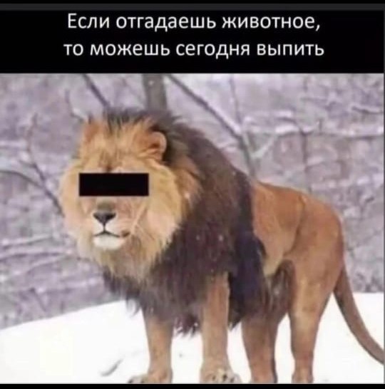 Даёшь деградацию!
