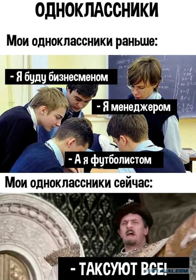 Весёлый полтишок 08.01.25
