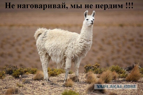 Ванвера. Хитроумное изобретение для благородных дам