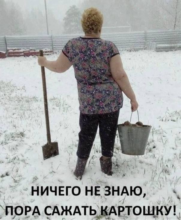 Так себе картинки 03.05.25