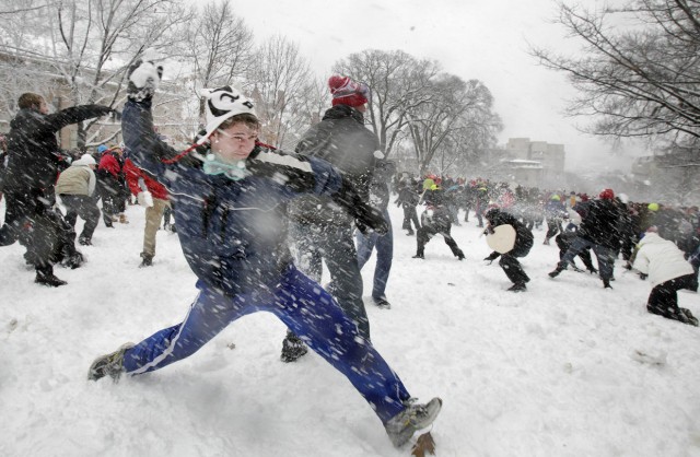 +50 к Карме!⁠