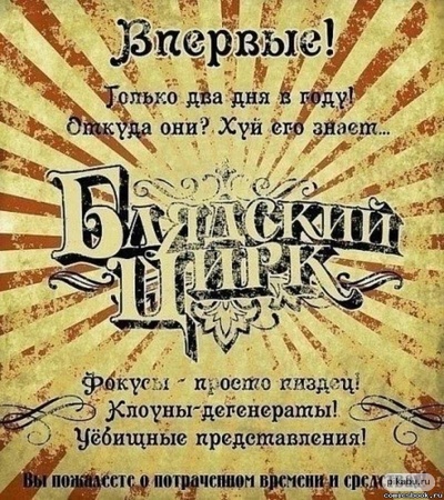Тюк по кумполу