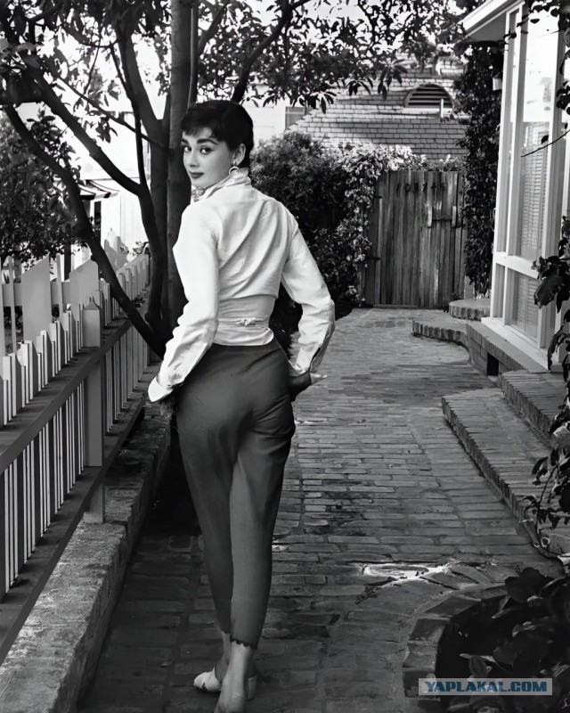 Редкие кадры и архивные снимки 25.02.26