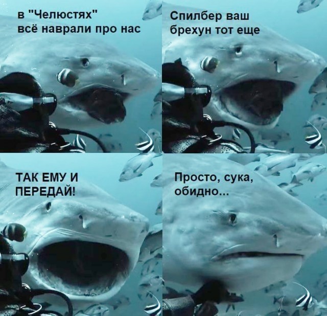 В астероиде Рюгу нашли все ключевые компоненты ДНК и РНК.