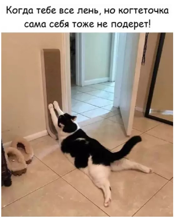 Картиночки, баянчики 19 марта