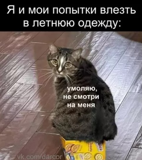 Картиночки, баянчики 08 апреля