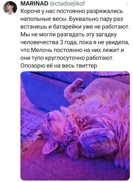 Понедельника картинки