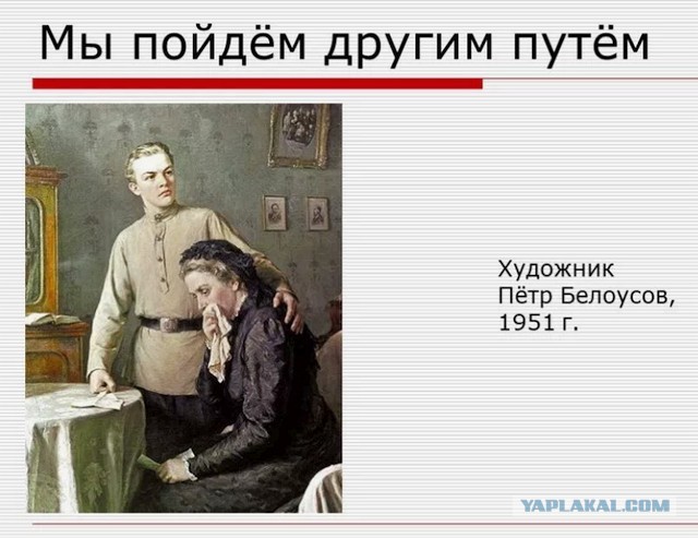 В 13 миллионов рублей обошлась месть за кота питерскому злому гению