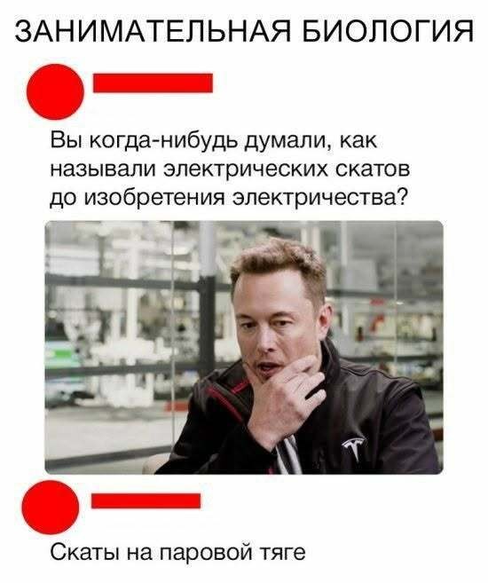 Картинки для деградации 224 (разной степени свежести)