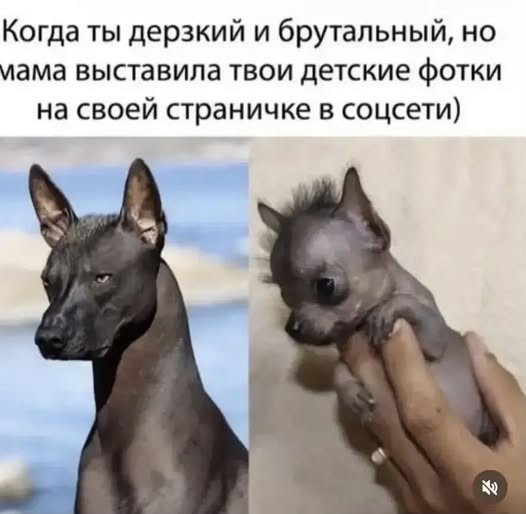Пятничные бояны