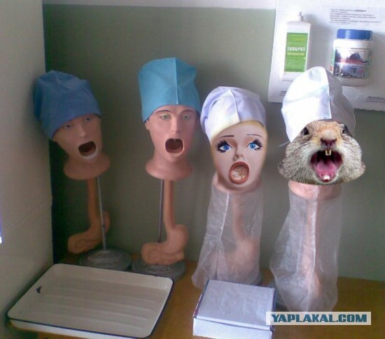 Скажите ААА