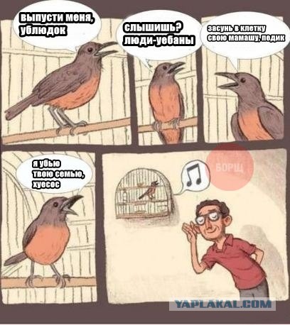 Комменты из соцсетей