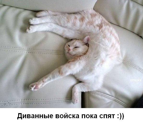 Порошенко все свалил на Обаму!