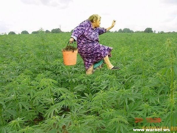 Интересные люди из соц. сетей
