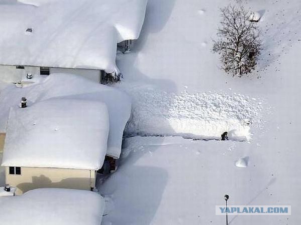 Весёлые картинки