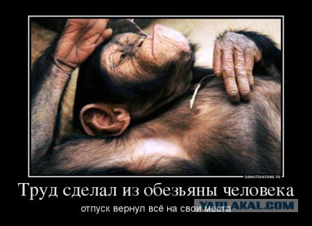 А работать пробовал?