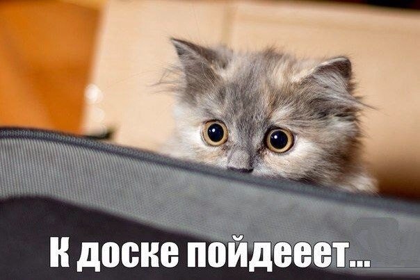 Веселые картинки