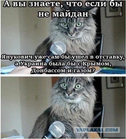 Манежная, московский майдан)))